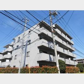 コスモ与野チェロード 3階 築36年3ヶ月の賃貸物件