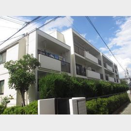 メゾン島田 1階 築40年4ヶ月の賃貸物件