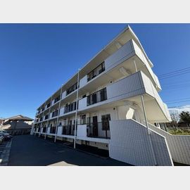 キキョウ第五三上マンションの賃貸物件