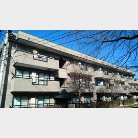 コートヤード三橋公園Ｄの賃貸物件