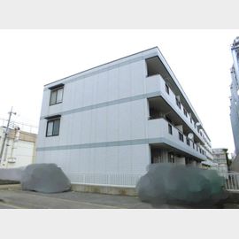 ニュースターフィールド 3階 築32年11ヶ月の賃貸物件