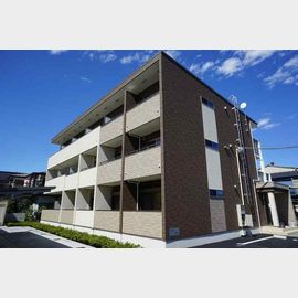 アルファーサウミィーコーエイの賃貸物件