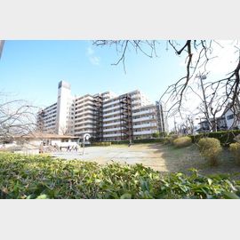 ライオンズマンション大宮弐番館 9階 築39年11ヶ月の賃貸物件