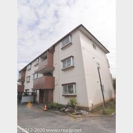 ヘルシー北美 3階 築40年9ヶ月の賃貸物件