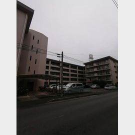 大宮公園駅より徒歩12分 築53年8ヶ月 5階建の賃貸物件