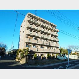 パラッツォエテルナ 3階 築19年3ヶ月の賃貸物件