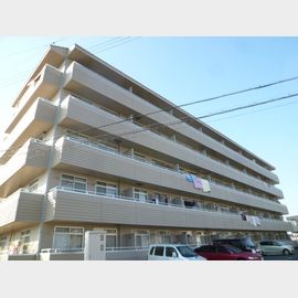 長浜駅より徒歩48分 3階 築32年5ヶ月の賃貸物件