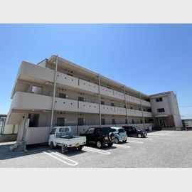 虎姫駅より徒歩35分 築18年9ヶ月 3階建の賃貸物件