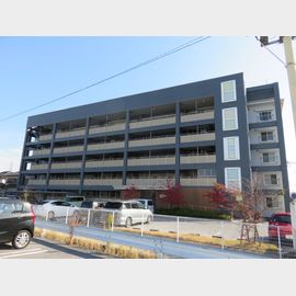 ミラクルステアーズ長浜 1階 築53年11ヶ月の賃貸物件