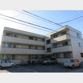 長浜駅より徒歩26分 3階 築33年の賃貸物件