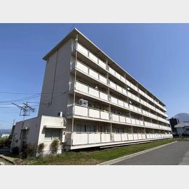 長浜駅より徒歩67分 5階 築48年5ヶ月の賃貸物件