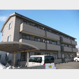 むくの木はうす壱番館3Bの賃貸物件