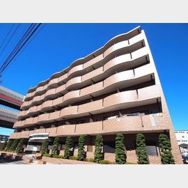 プラシード 6階 築10年8ヶ月の賃貸物件