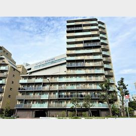 木場駅より徒歩10分 12階 築4年10ヶ月の賃貸物件