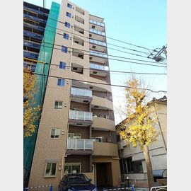 門前仲町駅より徒歩5分 10階 築6年4ヶ月の賃貸物件