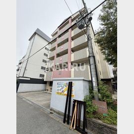 プレアデス東中本の賃貸物件