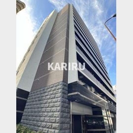 緑橋駅より徒歩2分 9階 築9年2ヶ月の賃貸物件