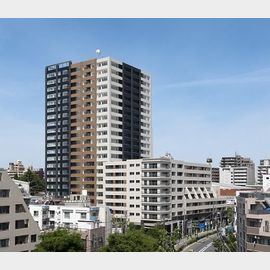 大塚駅より徒歩9分 20階 築17年5ヶ月の賃貸物件