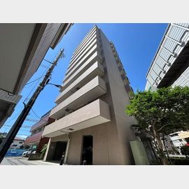 西巣鴨駅より徒歩7分 築30年2ヶ月 11階建の賃貸物件