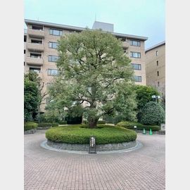 広尾駅より徒歩5分 築41年8ヶ月 7階建の賃貸物件