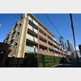 メゾンカルム西新宿 2階 築16年5ヶ月の賃貸物件