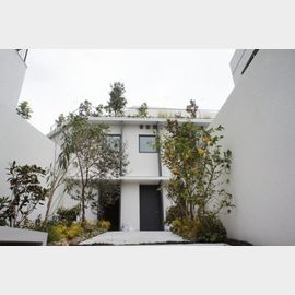 Bark中目黒の賃貸物件