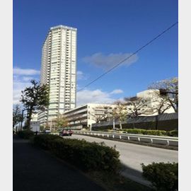 ザ・センター東京の賃貸物件