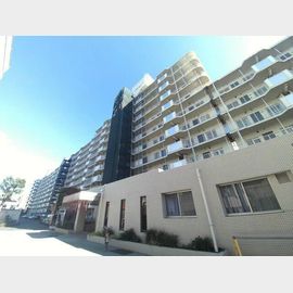 木場南スカイハイツリバーサイドタウンの賃貸物件