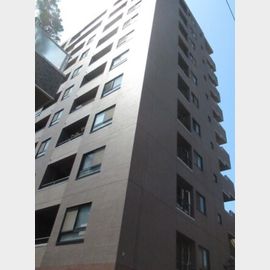 レクセルマンション錦糸町 7階 築27年1ヶ月の賃貸物件