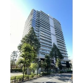 中野駅より徒歩8分 18階 新築の賃貸物件