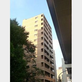 ソリッド大橋 12階 築20年5ヶ月の賃貸物件