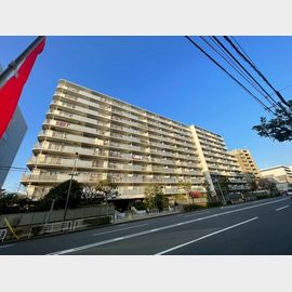 ハイラーク木場 7階 築43年1ヶ月の賃貸物件