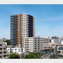 大塚駅より徒歩9分 築16年6ヶ月 22階建の賃貸物件