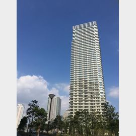 勝どき駅より徒歩13分 築9年10ヶ月 49階建の賃貸物件