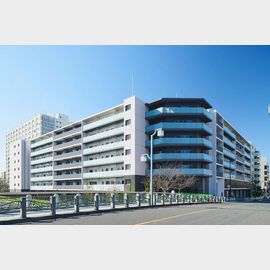 押上駅より徒歩10分 築1年 7階建の賃貸物件