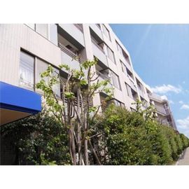 西小山駅より徒歩2分 築30年6ヶ月 6階建の賃貸物件