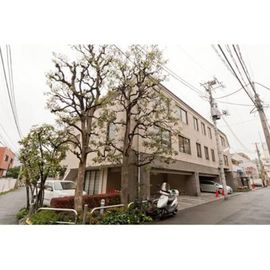 南青山コートヒルズ 2階 築35年11ヶ月の賃貸物件