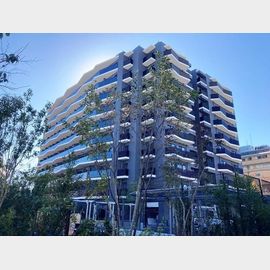 東十条駅より徒歩5分 13階 築1年1ヶ月の賃貸物件