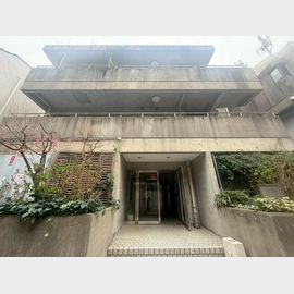 ラミューズ 3階 築31年7ヶ月の賃貸物件