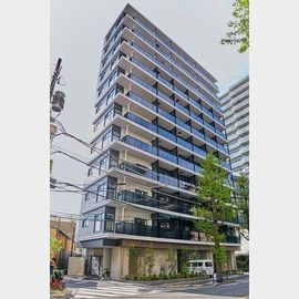 中野富士見町駅より徒歩10分 12階 新築の賃貸物件