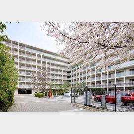 目黒駅より徒歩7分 7階 築21年2ヶ月の賃貸物件