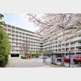 目黒駅より徒歩7分 4階 築21年3ヶ月の賃貸物件