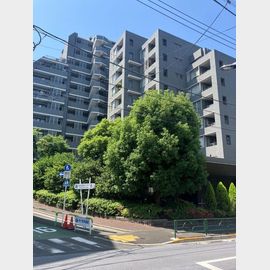 イッツ東京フォーサイトスクエア1101 9階 築25年7ヶ月の賃貸物件