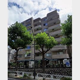 サンフローラハイツ渋谷の賃貸物件