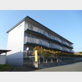 ドミ美 1階 築36年8ヶ月の賃貸物件