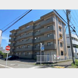 マンションサザン２ 5階 築30年2ヶ月の賃貸物件