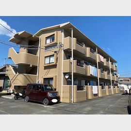 杉の杜ハイツの賃貸物件