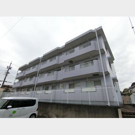 プロヴァンス 3階 築31年1ヶ月の賃貸物件