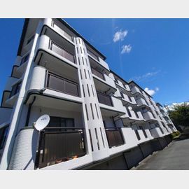 マイシャトー国府台 4階 築37年9ヶ月の賃貸物件