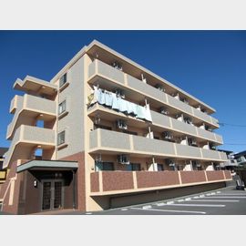 シャトレ八番館の賃貸物件